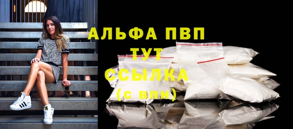 ешки Арсеньев